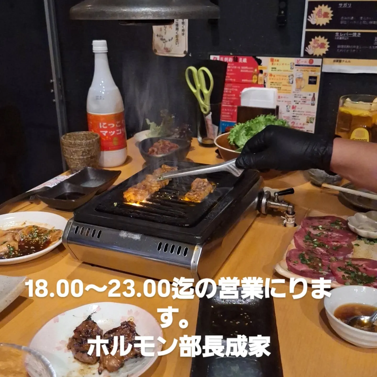オススメ　牛サガリ　赤身ステーキ　生ラム　脂付きシマチョウ　...